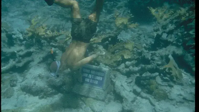 Semarak Festival Bahari Kepulauan Banyak: Pesona Terumbu Karang dan Pantai Pasir Putih
